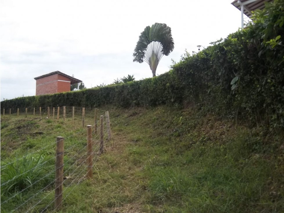 VENTA LOTE LAS MARGARITAS RISARALDA | LOTE EN VENTA - 1