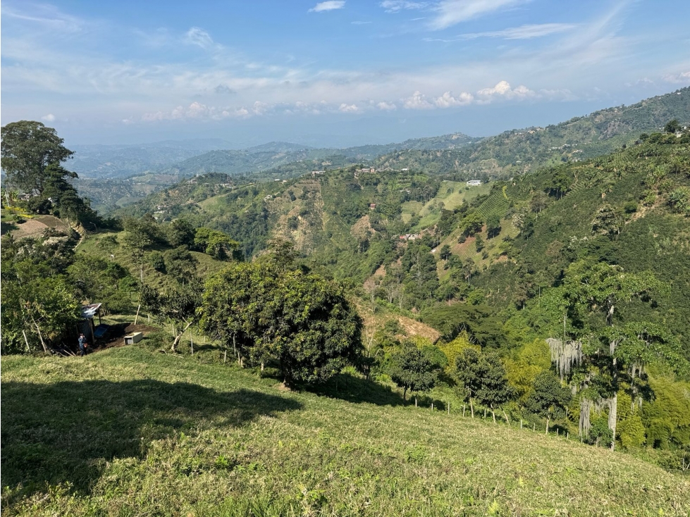 LOTE EN VENTA EN VEREDA LA AURORA MANIZALES | VENTA TERRENO — foto 2