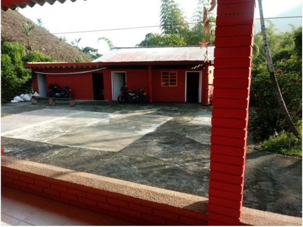 VENTA FINCA EN CHINCHINA, CALDAS - 2