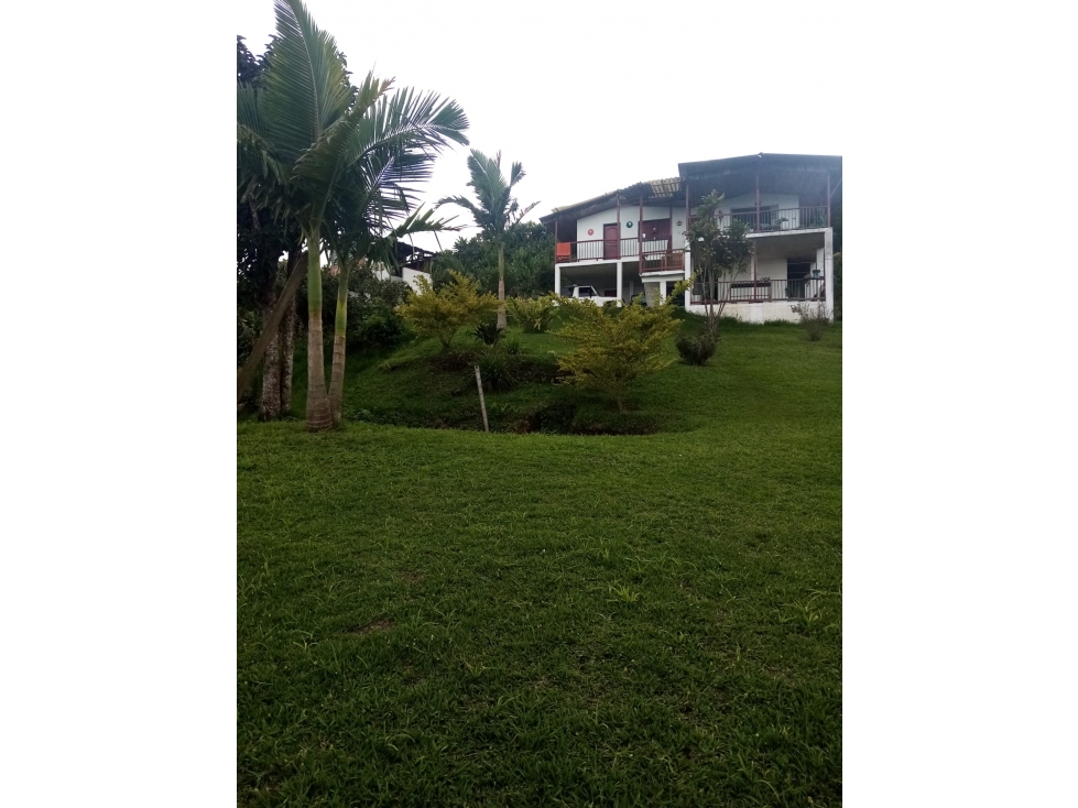 FINCA EN VENTA EN RISARALDA CALDAS | VENTA DE FINCAS - 2