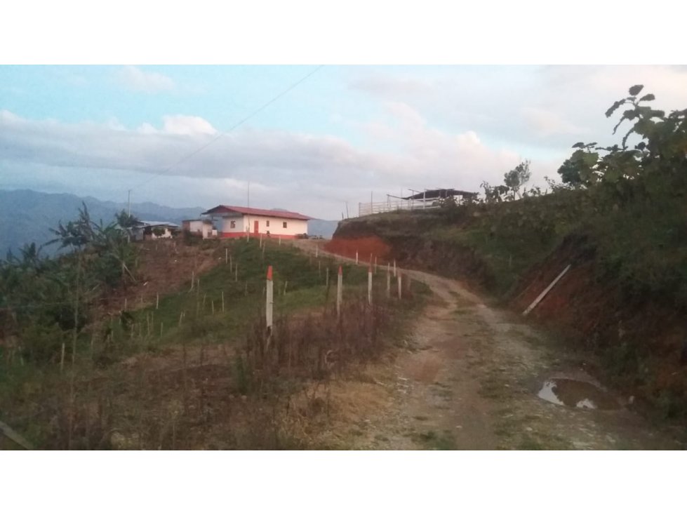 Venta de Finca en Pácora, Caldas | Finca en venta - 2