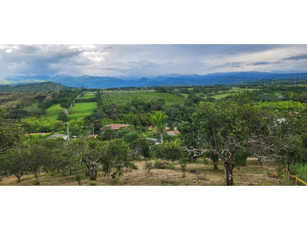 LOTE EN VENTA EN LAS MARGARITAS - CAMBIA - MANIZALES | VENTA LOTE — foto 3