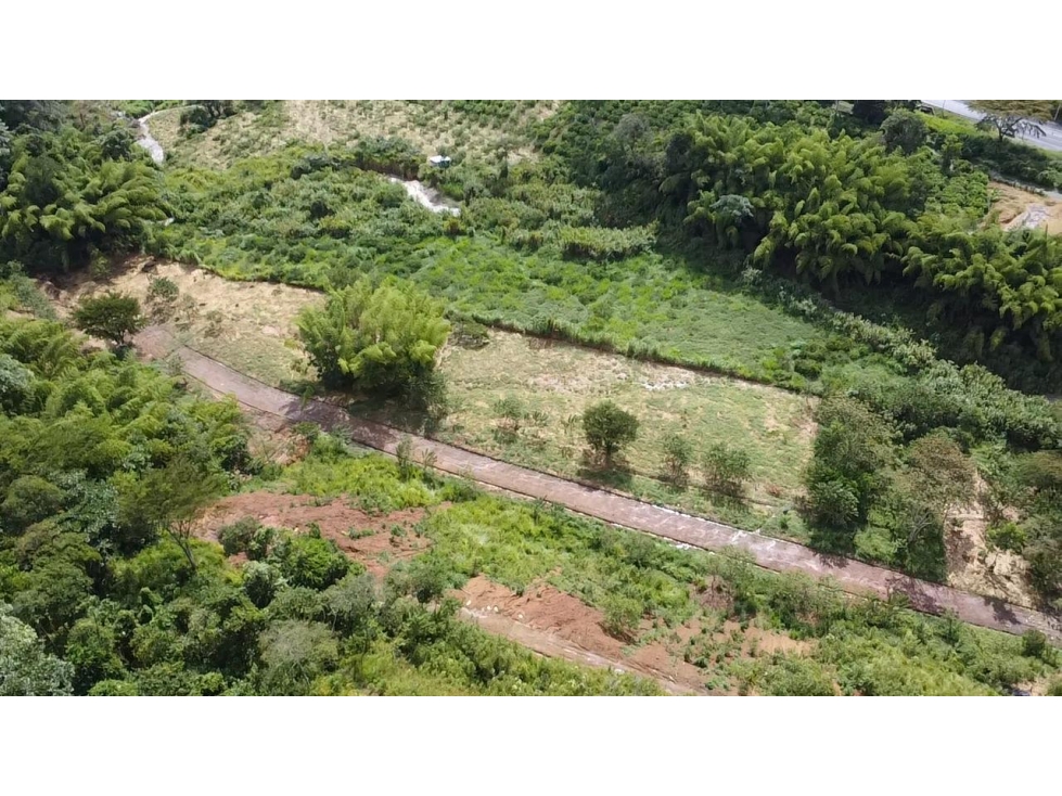 53 LOTES CAMPESTRES EN VENTA DESDE 950m² HASTA 2500m² LAS MARGARITAS — foto 3