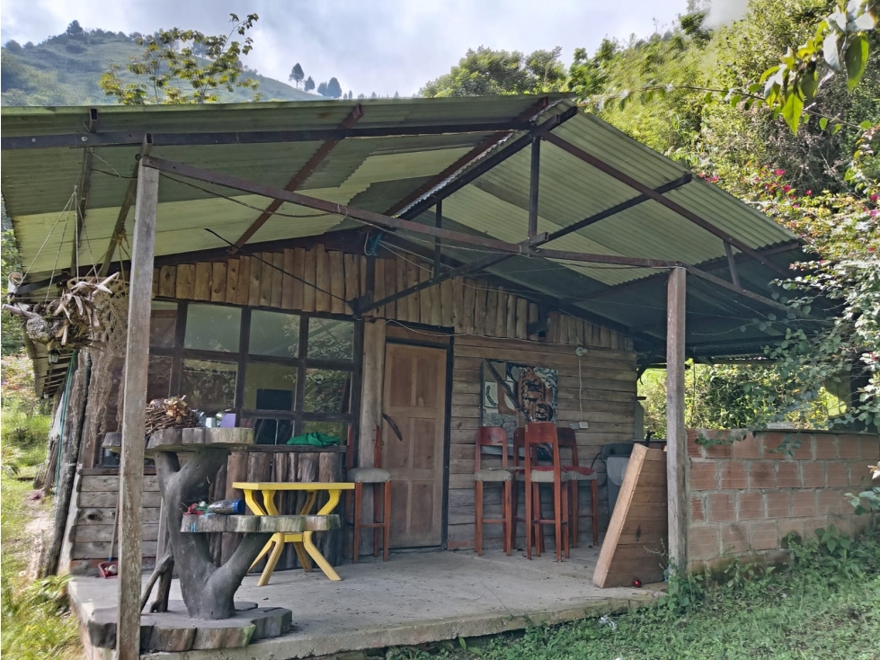 FINCA EN VENTA EN ALTO BONITO MANIZALES | VENTA DE FINCA PRODUCTIVA — foto 4