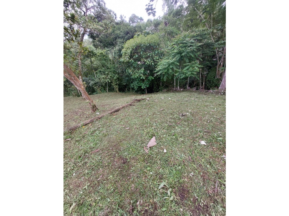 LOTE EN VENTA EN LA LINDA MANIZALES | VENTA LOTE — foto 2
