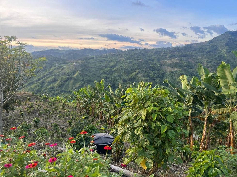 LOTE EN VENTA EN LA CABAÑA MANIZALES | VENTA LOTE — foto 2