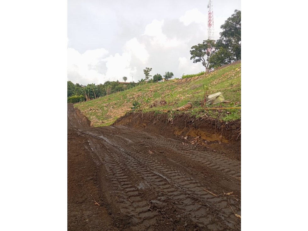 VENTA LOTE CHINCHINA CALDAS | LOTES CAMPESTRE - 2