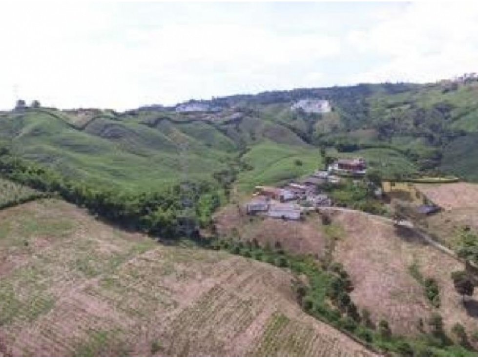 Venta de lote en Manizales - 1
