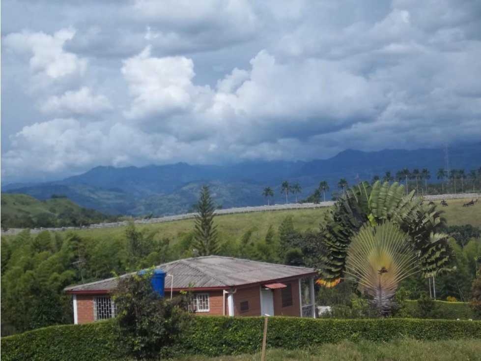 VENTA LOTE LAS MARGARITAS RISARALDA | LOTE EN VENTA - 4