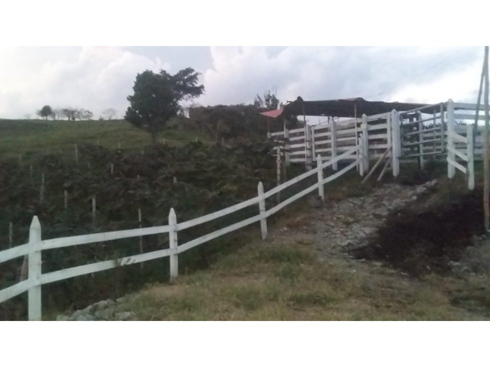 Venta de Finca en Pácora, Caldas | Finca en venta - 3