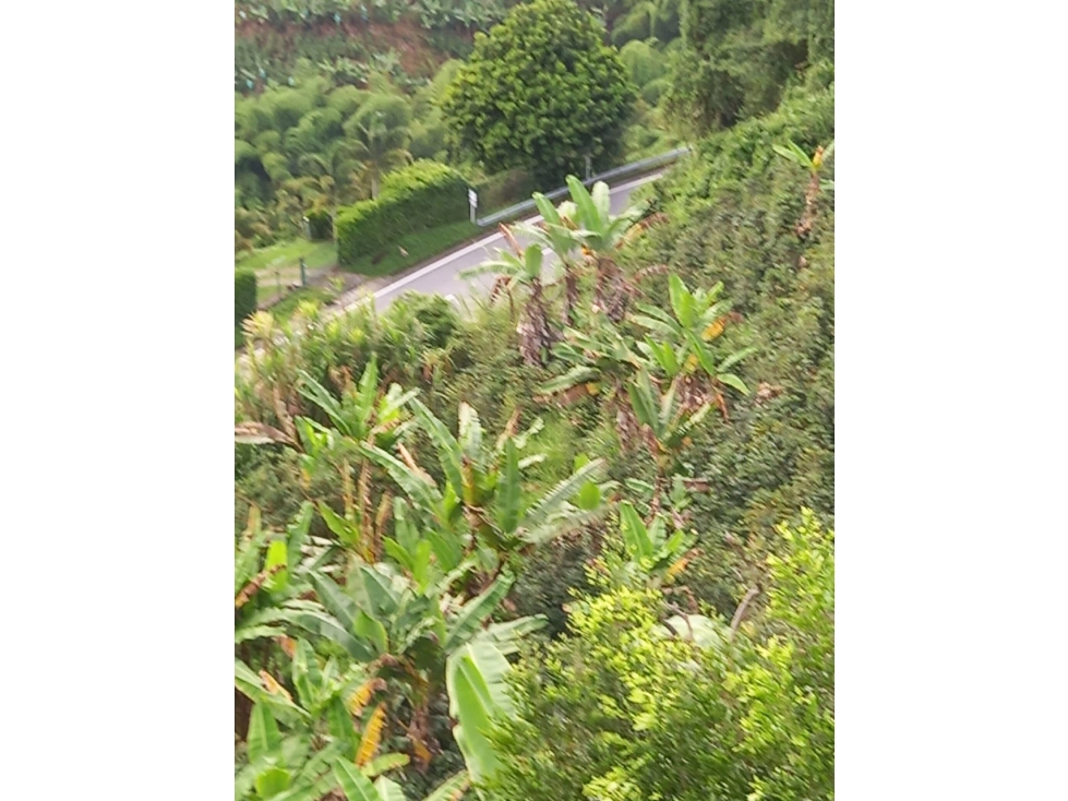 VENTA LOTE SAN PEREGRINO VIA LA MANUELA, MANIZALES | LOTE EN VENTA — foto 2