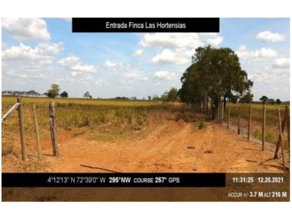 VENTA DE FINCA LA GLORIA VEREDA REMOLINO, META, 150 HECTÁREAS - 3