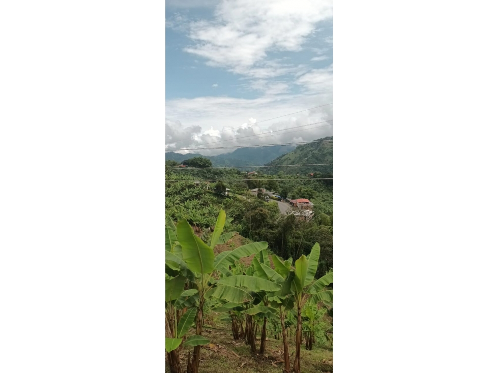 VENTA LOTE EN ALTO BONITO, MANIZALES | LOTES EN VENTA EN MANIZALES