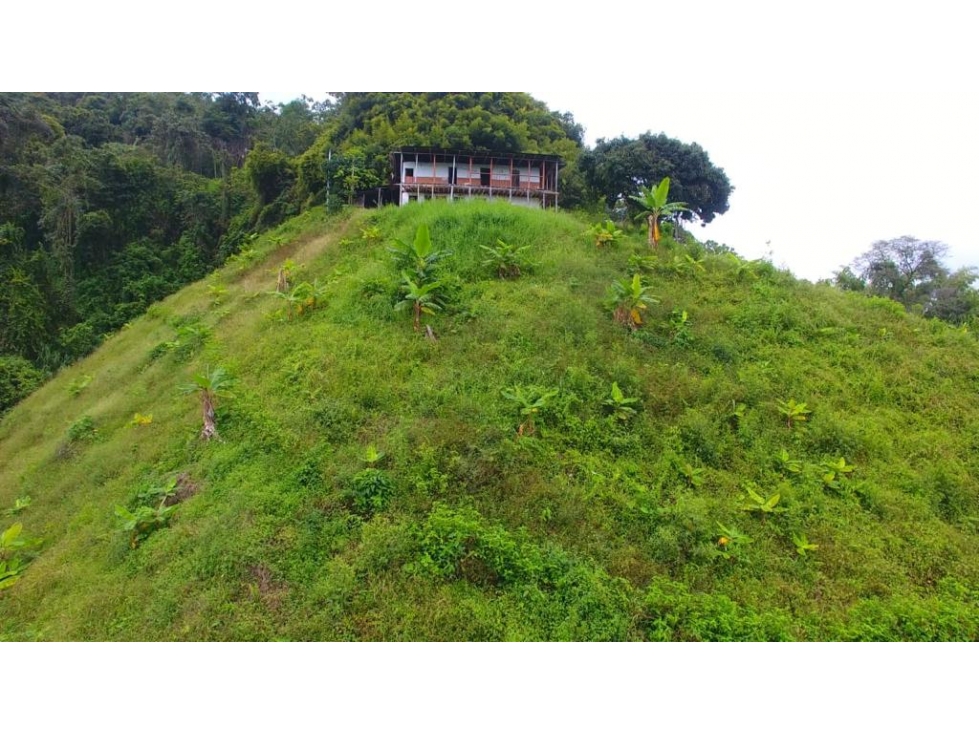 VENTA FINCA VEREDA TABOR SAN PEREGRINO | FINCA EN MANIZALES — foto 3