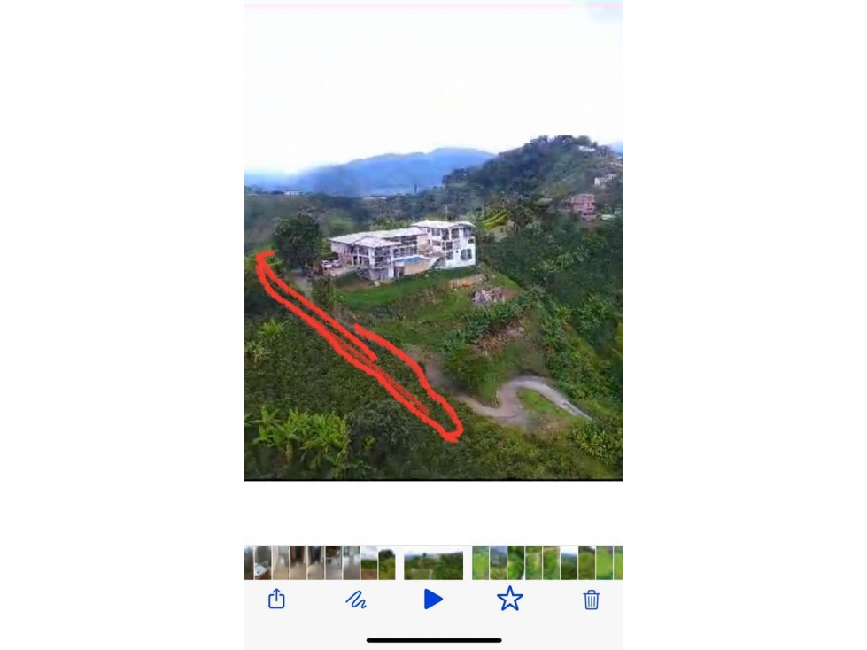 VENTA LOTE SAN PEREGRINO MANIZALES 21.500m² | LOTE PRODUCTIVO EN VENTA — foto 3