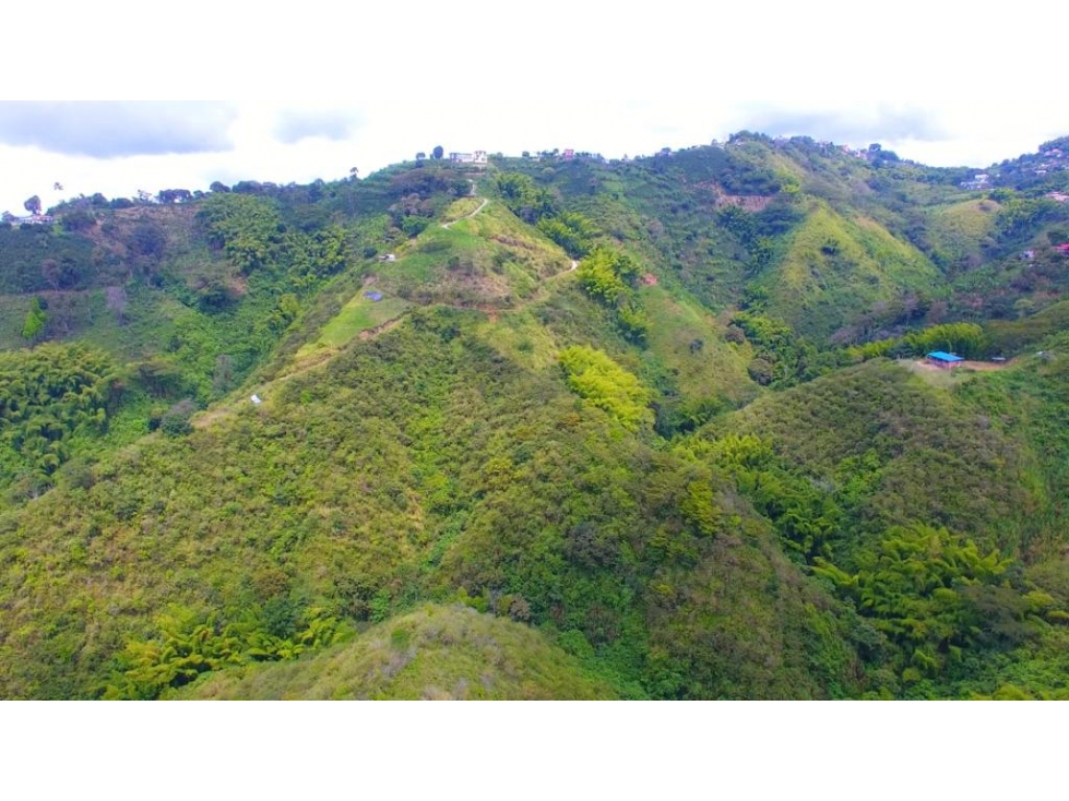 VENTA LOTE 77.298m² EL TAMBOR SAN PEREGRINO MANIZALES | LOTE RURAL — foto 3