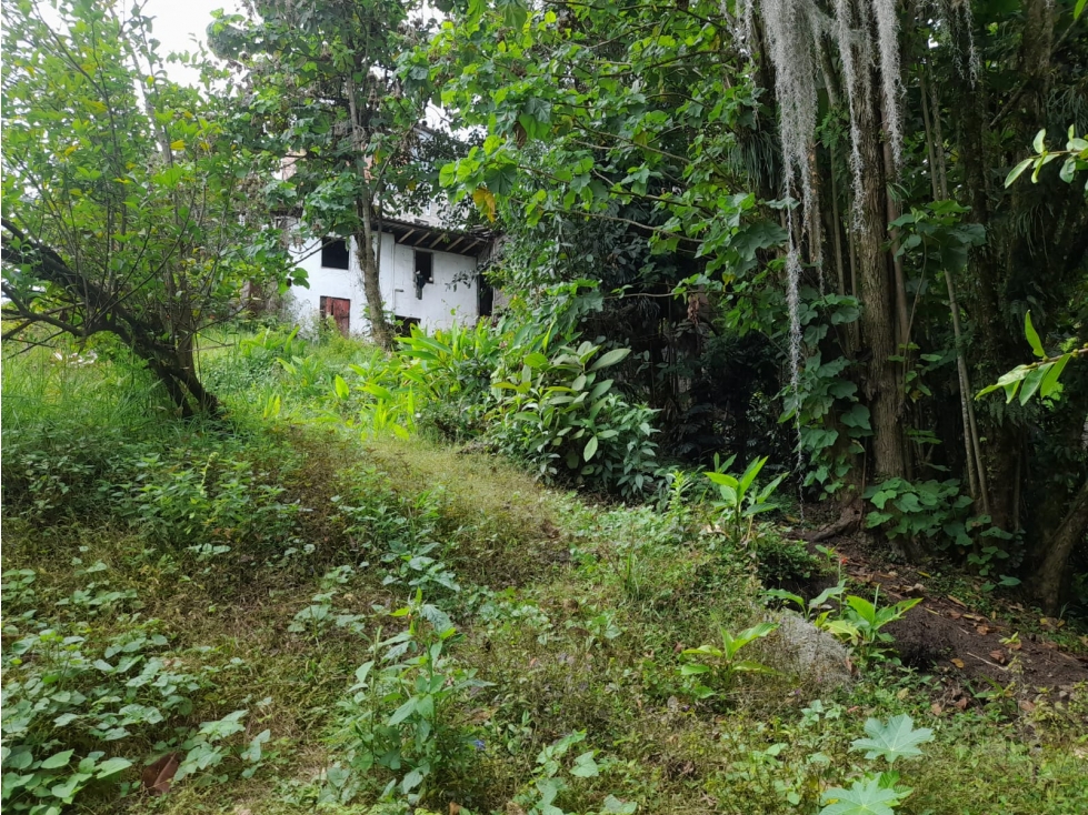 VENTA LOTE 428m2 PERSIA MANIZALES VISTA PANORÁMICA | LOTE EN VENTA — foto 5