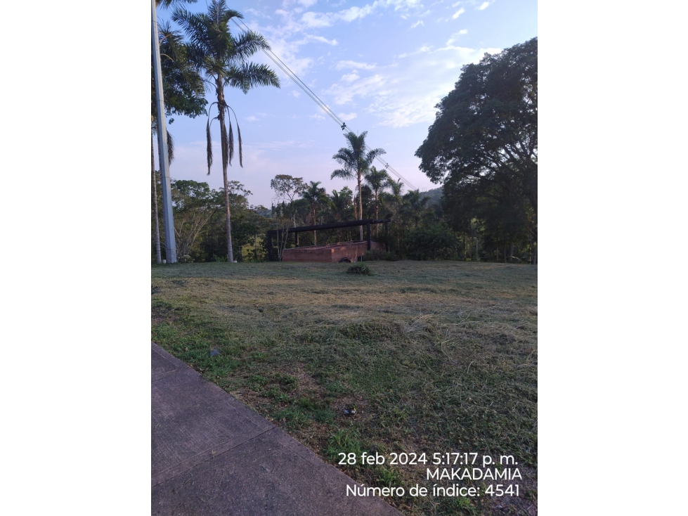 VENTA LOTE CONJUNTO CERRADO KM 41 PALESTINA | LOTE 1500 m² - 2