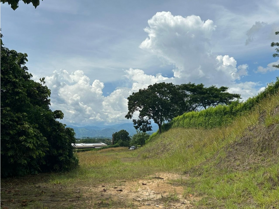 VENTA LOTE CONJUNTO CERRADO SANTÁGUEDA PALESTINA | LOTE CAMPESTRE - 3