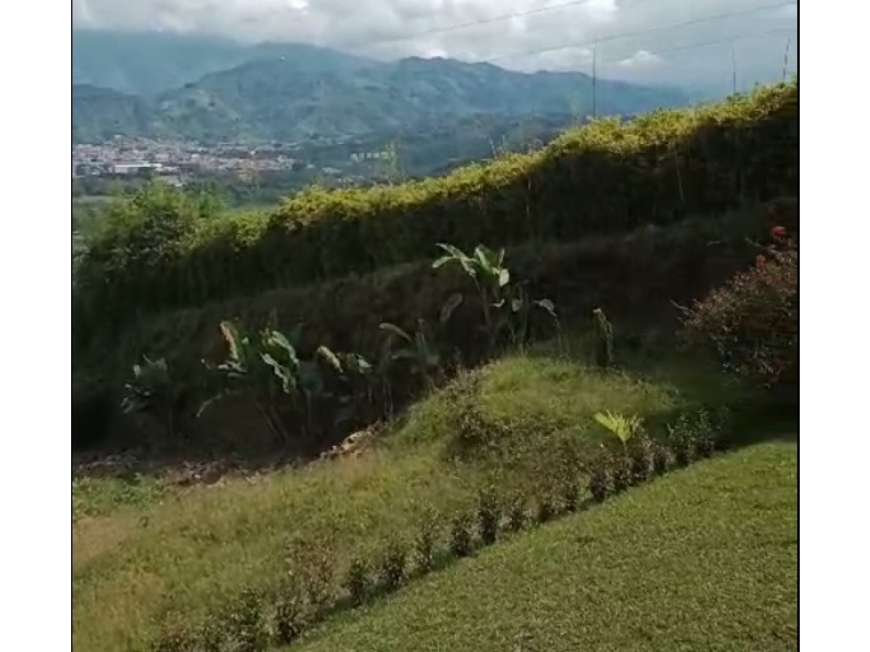 VENTA LOTE CHINCHINÁ A 8 MINUTOS | LOTE CHINCHINÁ - 4
