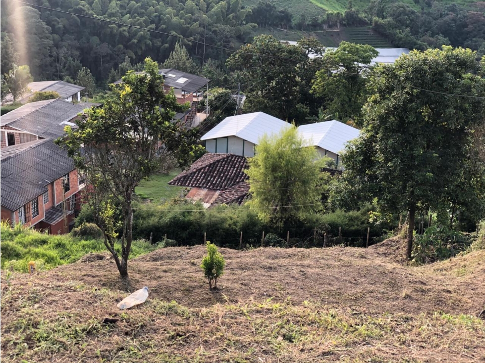 LOTE EN VENTA EN TEJARES VILLAMARÍA | VENTA DE LOTES - 4