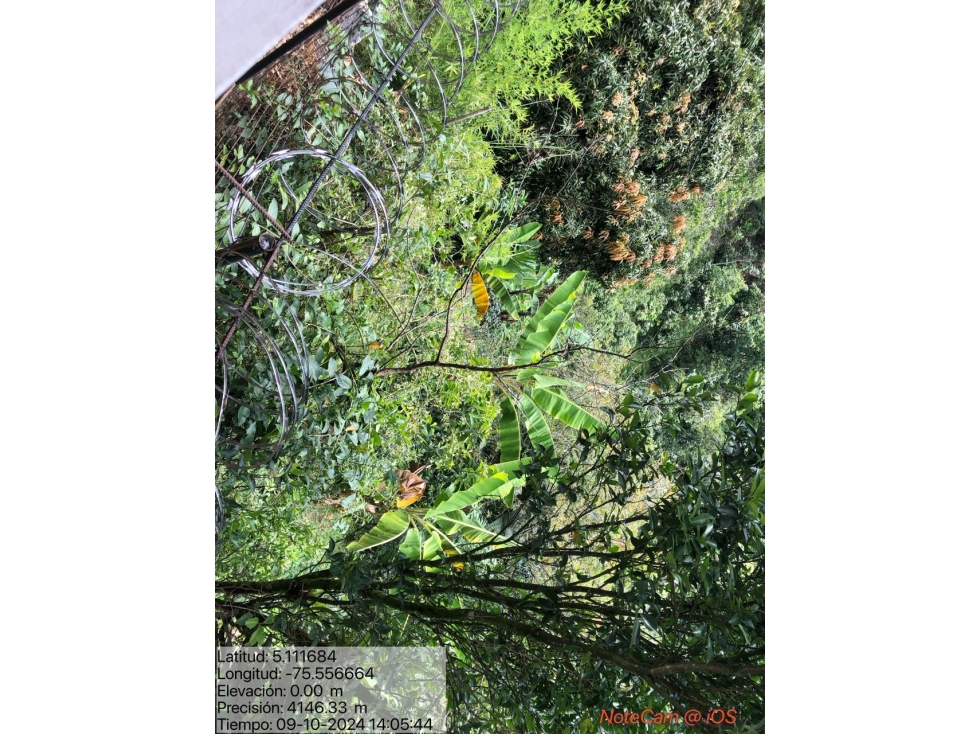 FINCA EN VENTA EN LA CABAÑA MANIZALES | VENTA FINCA — foto 3