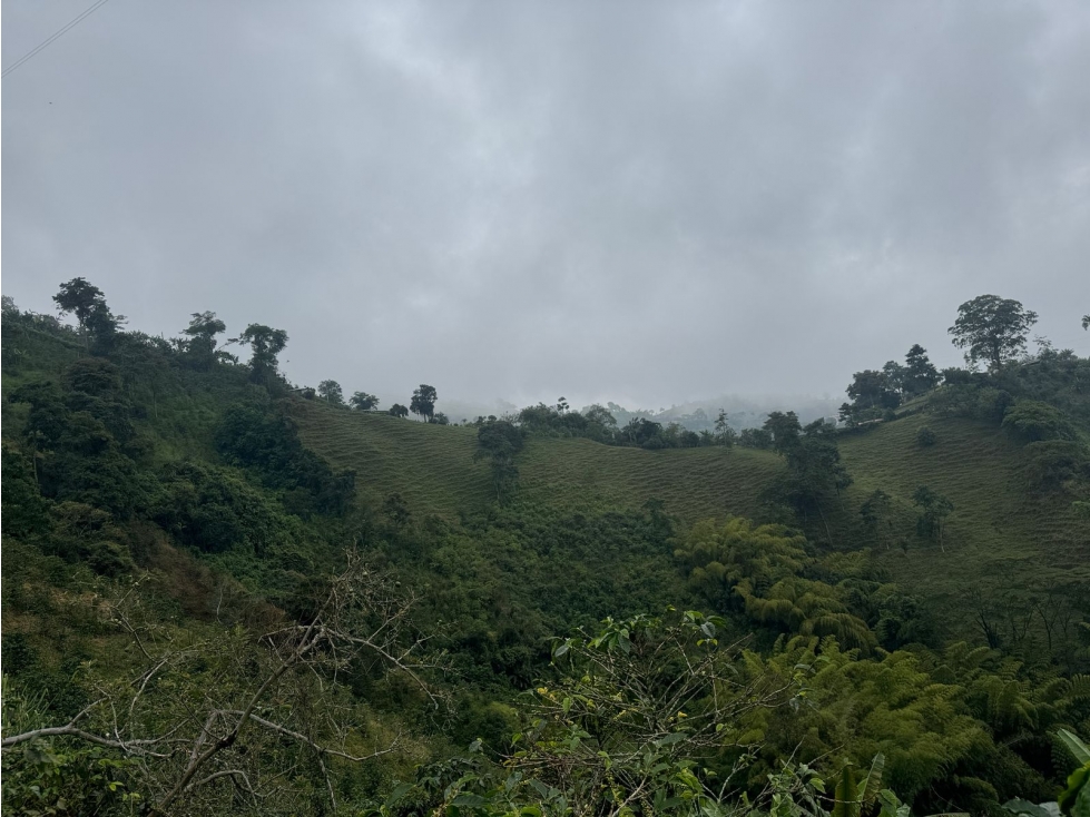 LOTE EN VENTA EN VEREDA LA AURORA MANIZALES | VENTA TERRENO — foto 5