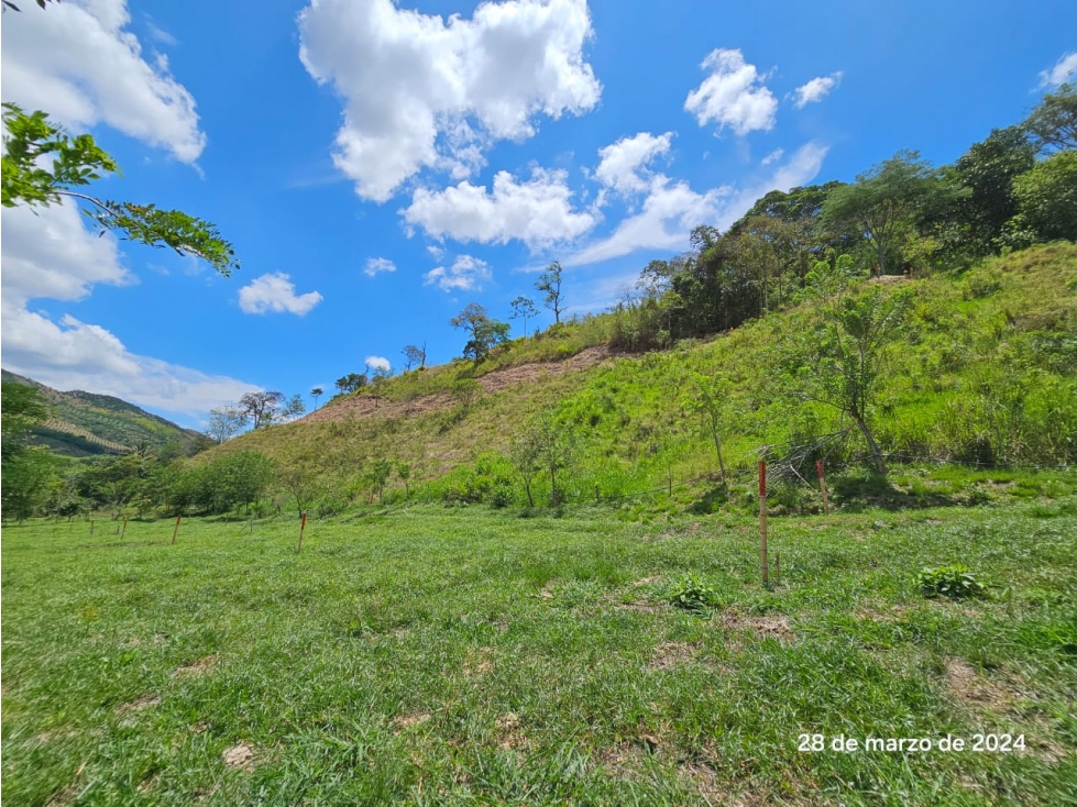 53 LOTES CAMPESTRES EN VENTA DESDE 950m² HASTA 2500m² LAS MARGARITAS