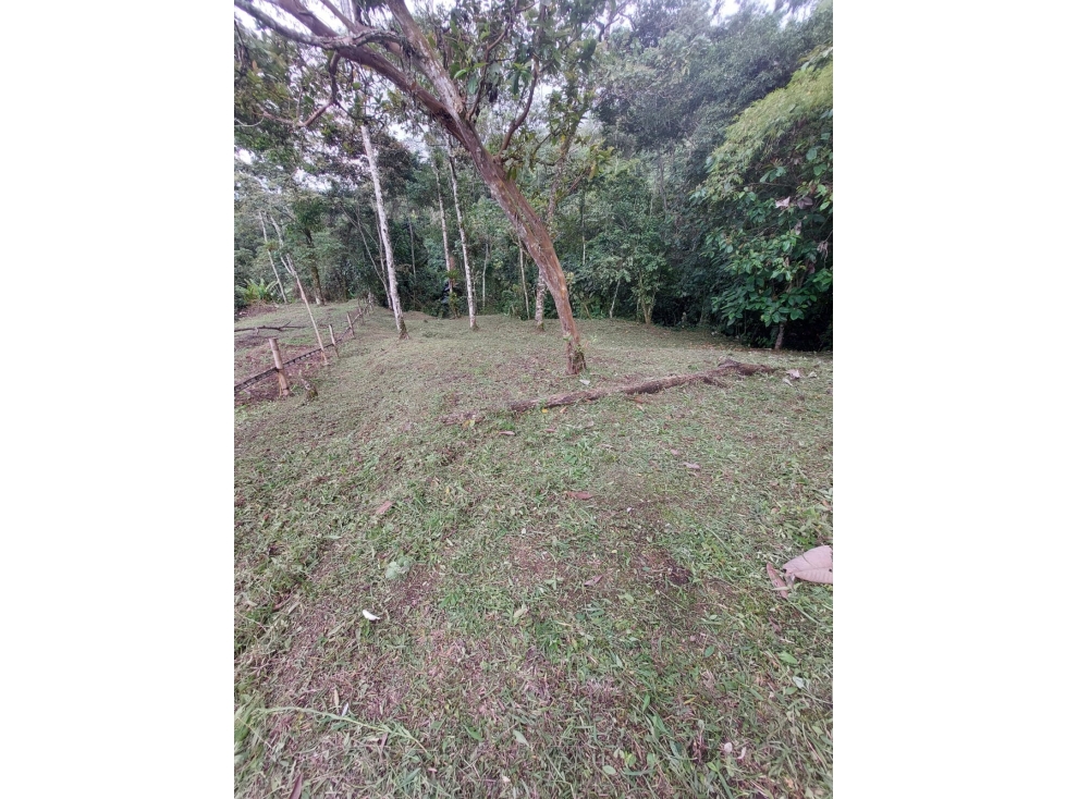 LOTE EN VENTA EN LA LINDA MANIZALES | VENTA LOTE — foto 3