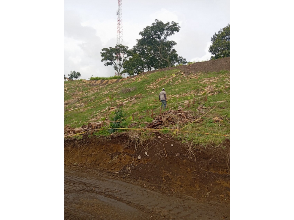 VENTA LOTE CHINCHINA CALDAS | LOTES CAMPESTRE - 3