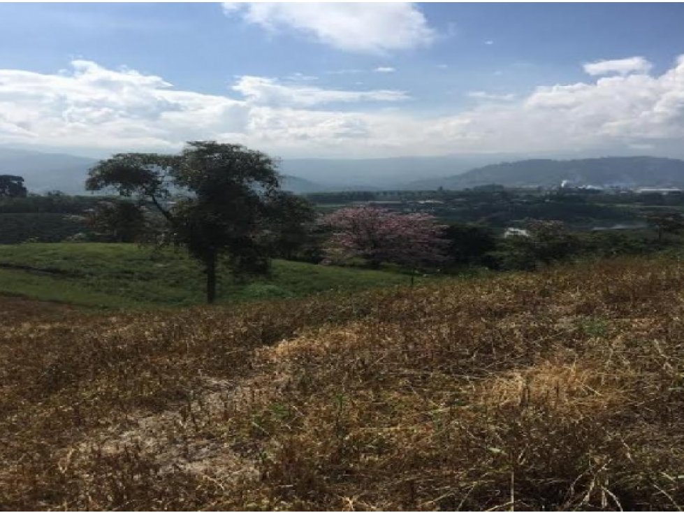 LOTE EN VENTA EN PALESTINA CALDAS | LOTES EN VENTA - 5