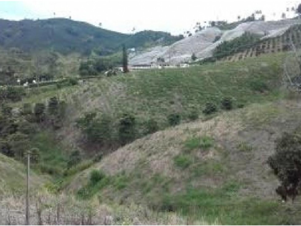 Venta de lote en Manizales - 3