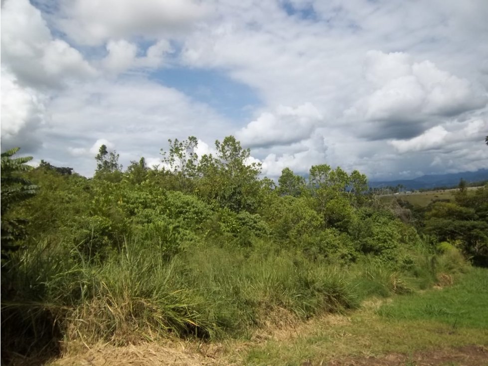 VENTA LOTE LAS MARGARITAS RISARALDA | LOTE EN VENTA - 5