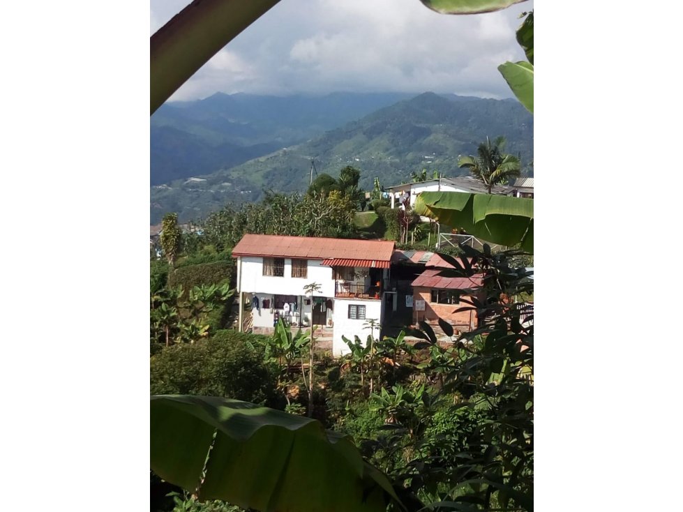 VENTA FINCA CUCHILLA DEL SALADO MANIZALES | FINCA EN VENTA — foto 3