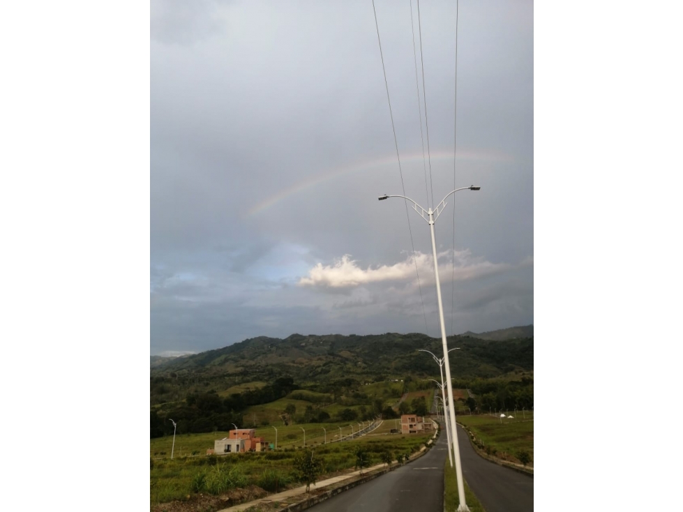 VENTA LOTE VIRGINIA Y VITERBO, CALDAS - 5