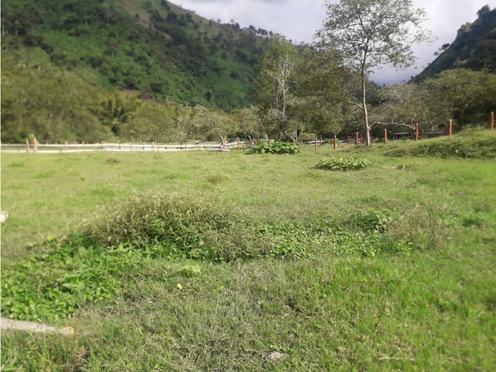 VENTA LOTE LISBOA, CALDAS — foto 3