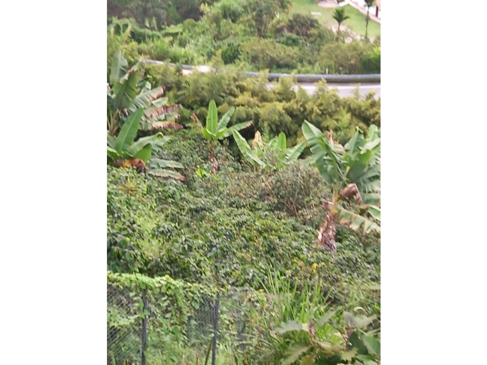 VENTA LOTE SAN PEREGRINO VIA LA MANUELA, MANIZALES | LOTE EN VENTA — foto 3