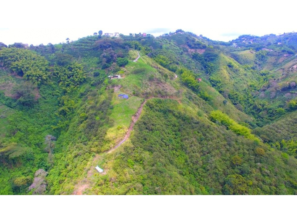 VENTA LOTE 77.298m² EL TAMBOR SAN PEREGRINO MANIZALES | LOTE RURAL — foto 4