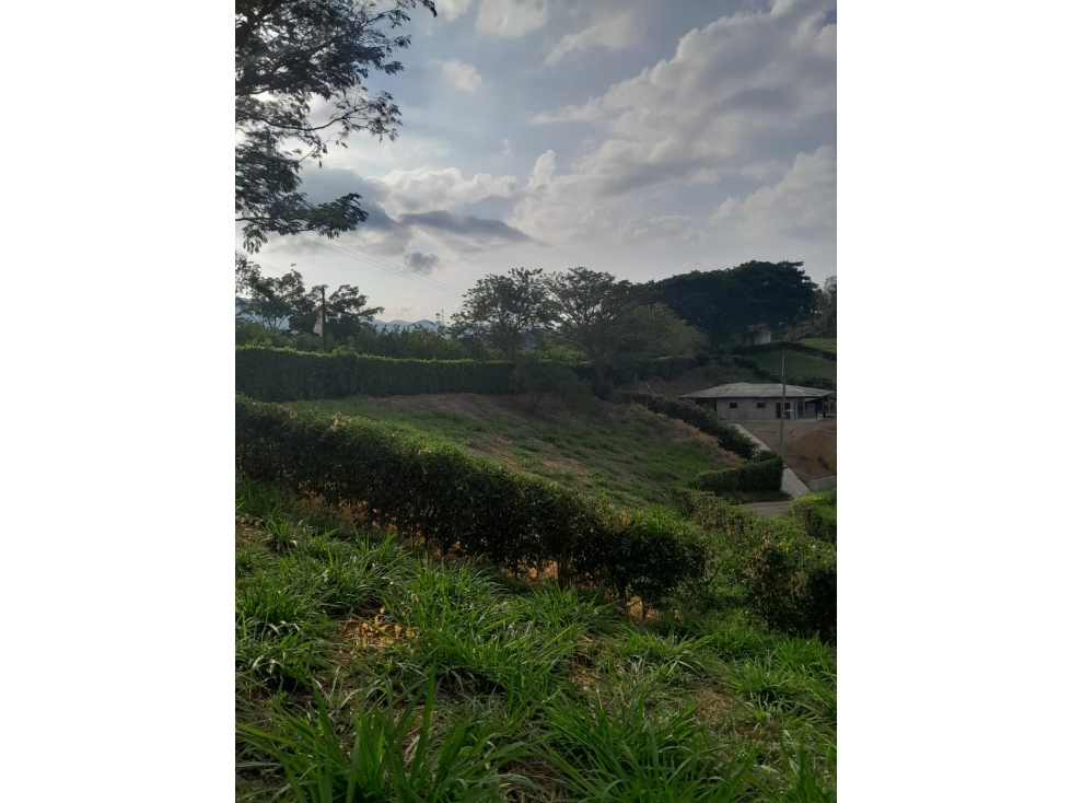 VENTA LOTE CONJUNTO CERRADO NEIRA 1.000 m2 | LOTE EN VENTA EN KM47 - 5