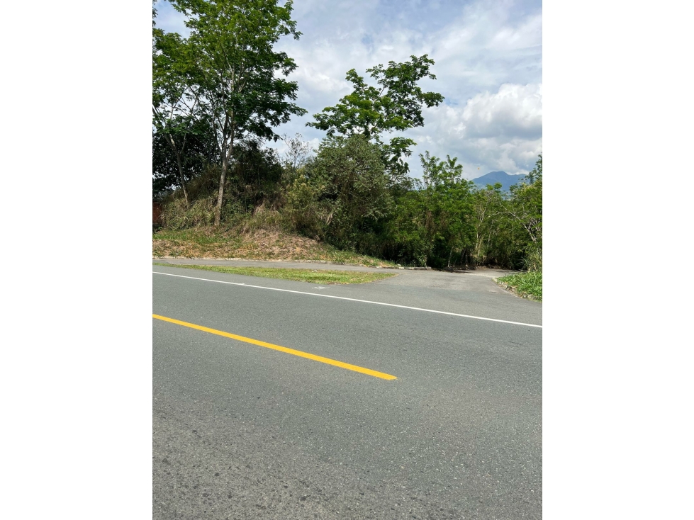VENTA LOTE KM 66 TRES PUERTAS PALESTINA 1.370 m² | BUEN CLIMA - 4