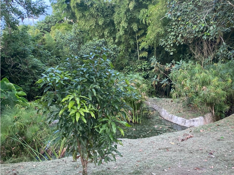 VENTA DE LOTE EN EL ARENILLO, MANIZALES | LOTES CAMPETRES EN VENTA — foto 5