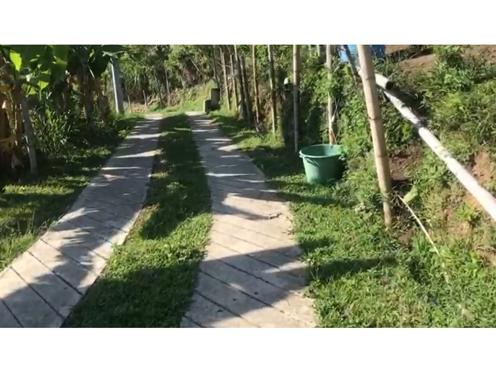 VENTA LOTE BARATO EN ALTO DEL NARANJO MANIZALES | LOTES EN VENTA — foto 4