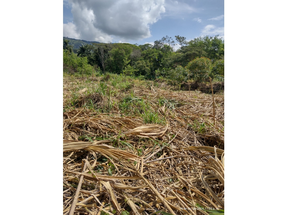 VENTA LOTE EN LA VIRGINIA RISARALDA | LOTES EN VENTA - 4