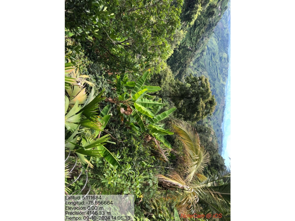 FINCA EN VENTA EN LA CABAÑA MANIZALES | VENTA FINCA — foto 4