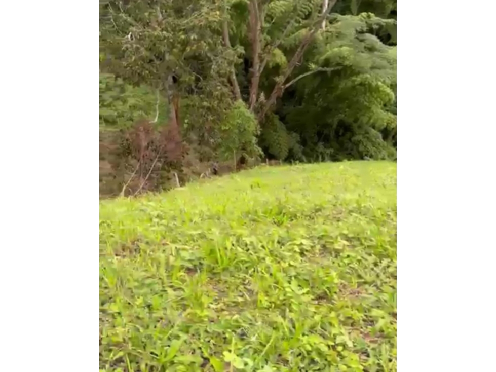 LOTE EN VENTA EN VEREDA ALTO MINITAS MANIZALES | VENTA LOTE — foto 3