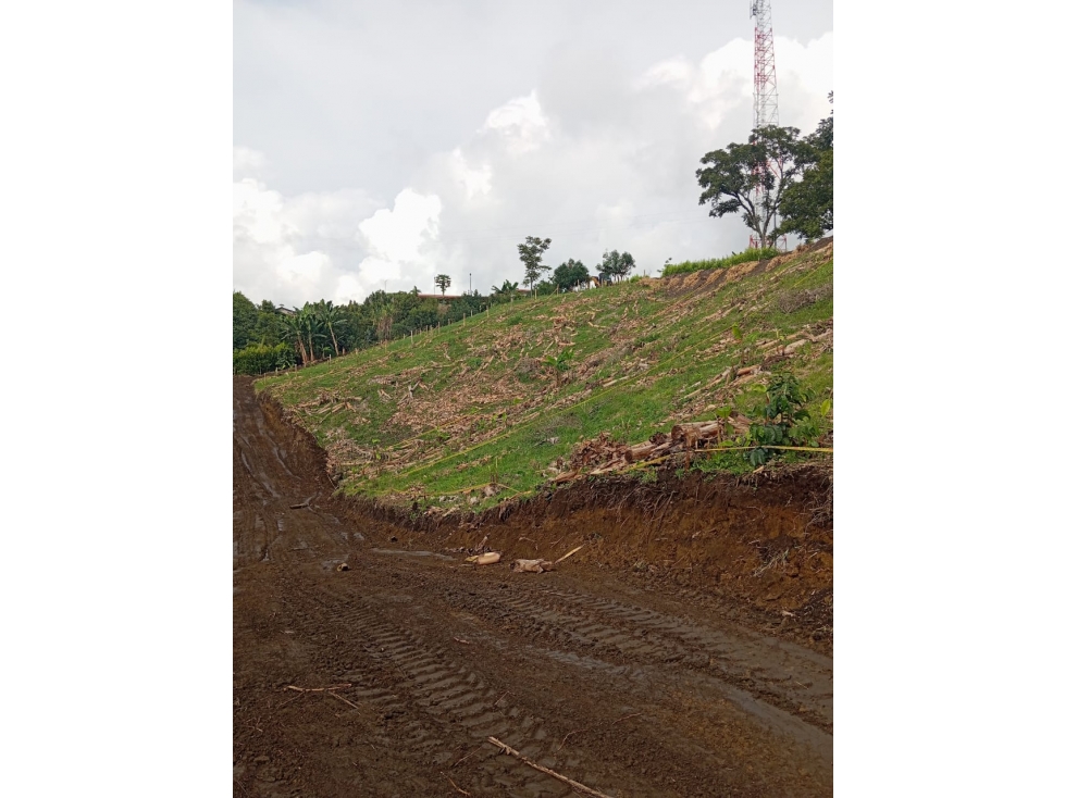 VENTA LOTE CHINCHINA CALDAS | LOTES CAMPESTRE - 4