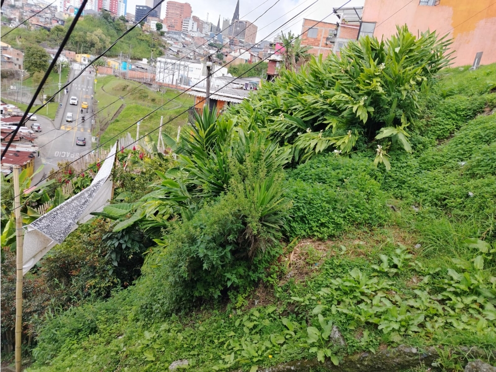 VENTA LOTE CAMPO AMOR | VENTAS MANIZALES — foto 4
