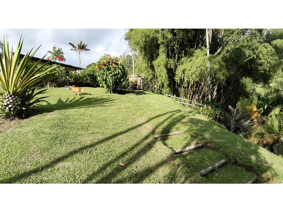 FINCA PARA VENTA EN SANTA ROSA DE CABAL RISARALDA - 2
