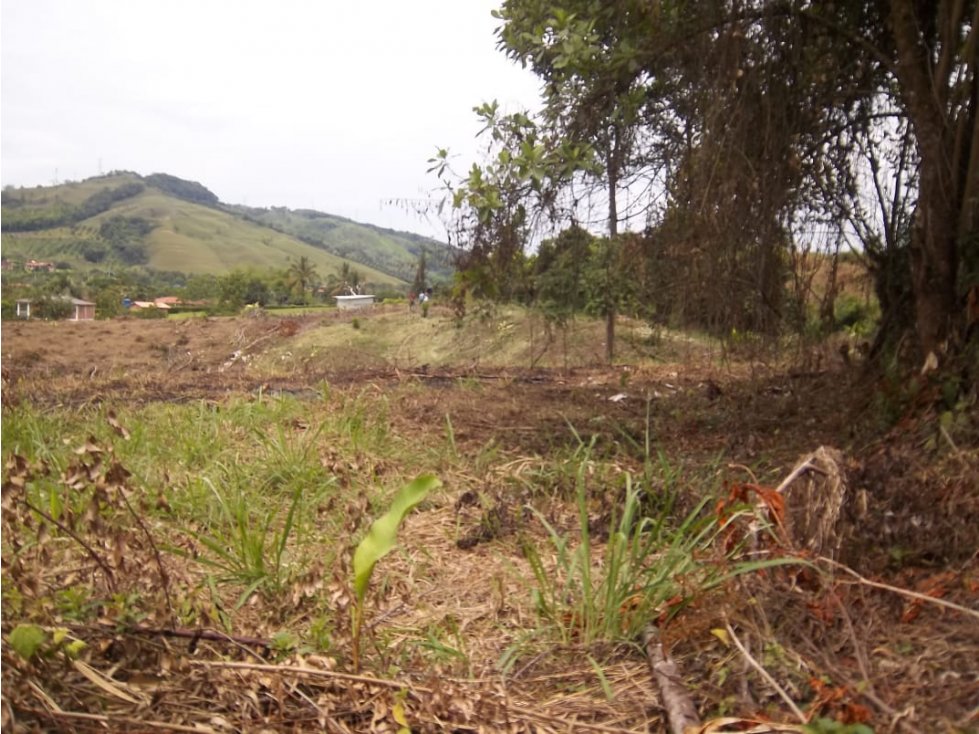 VENTA LOTE LAS MARGARITAS RISARALDA | LOTE EN VENTA - 6