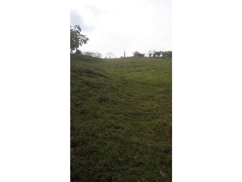 Venta de Finca en Pácora, Caldas | Finca en venta - 5